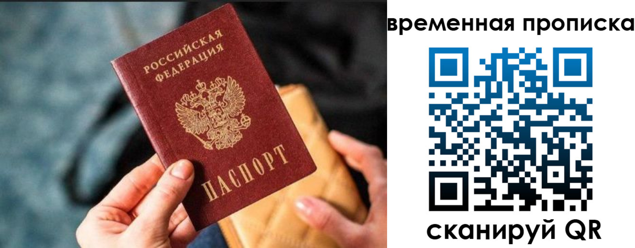 временная регистрация в Ельне